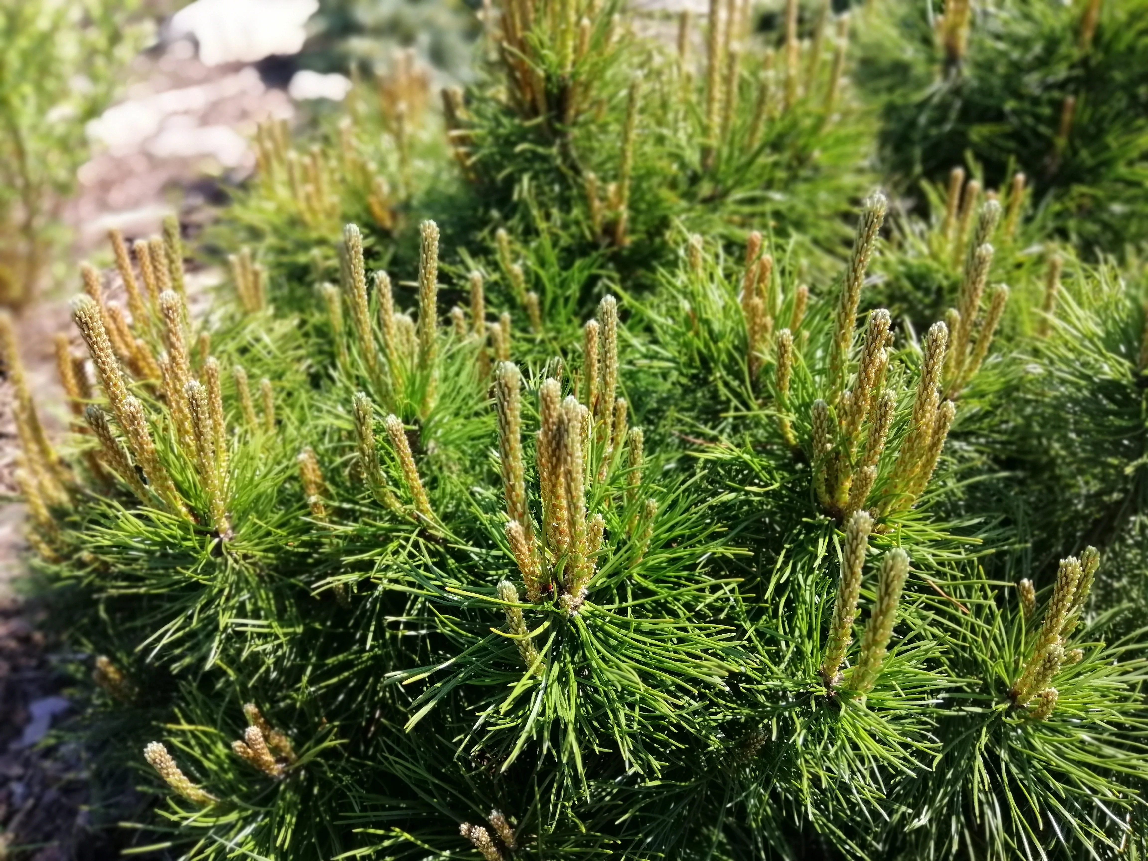 Produktbild 6