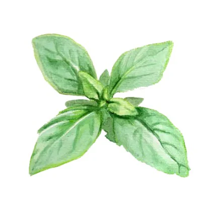 Miniatyrbild 1