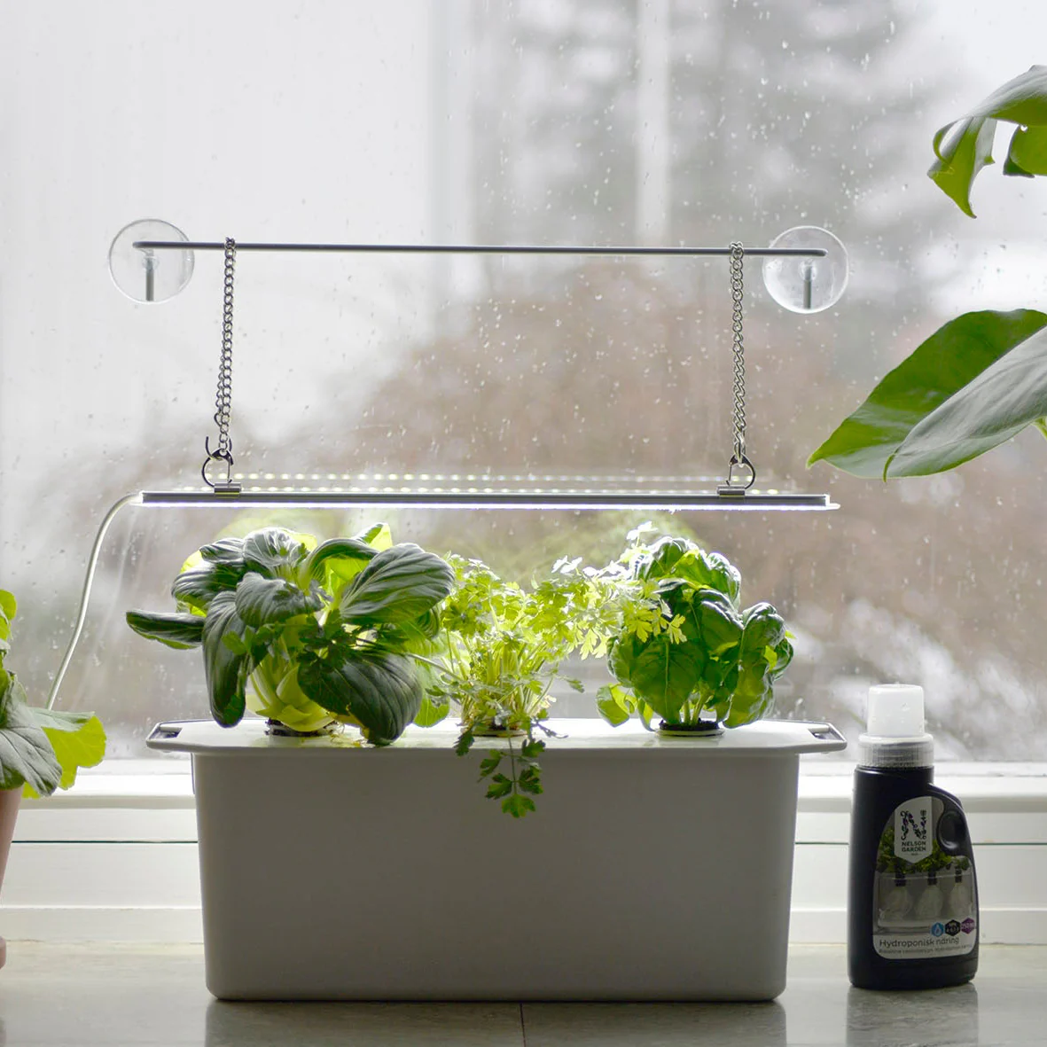 Miniatyrbild 1