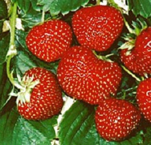 Produktbild 1