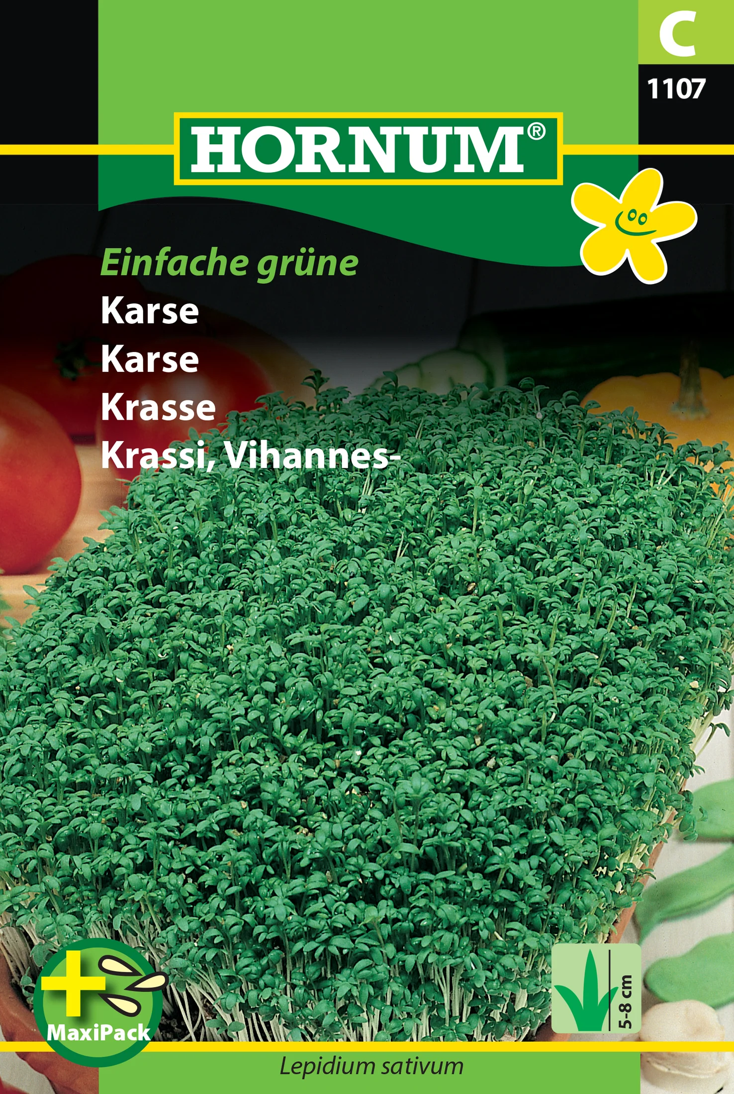 Miniatyrbild 1