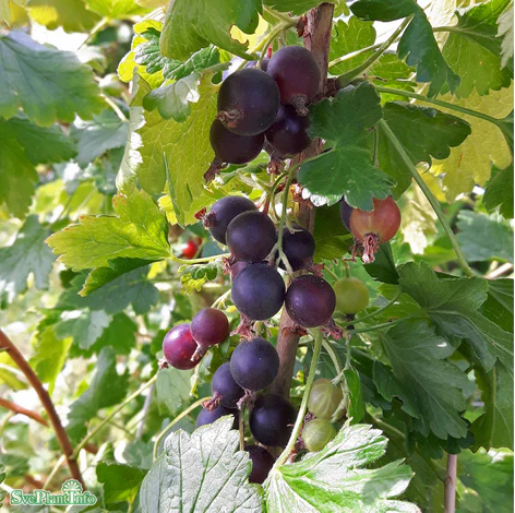 Produktbild 1