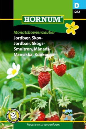 Miniatyrbild 1