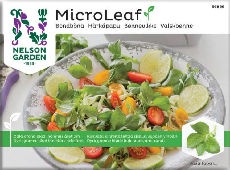 Miniatyrbild 1