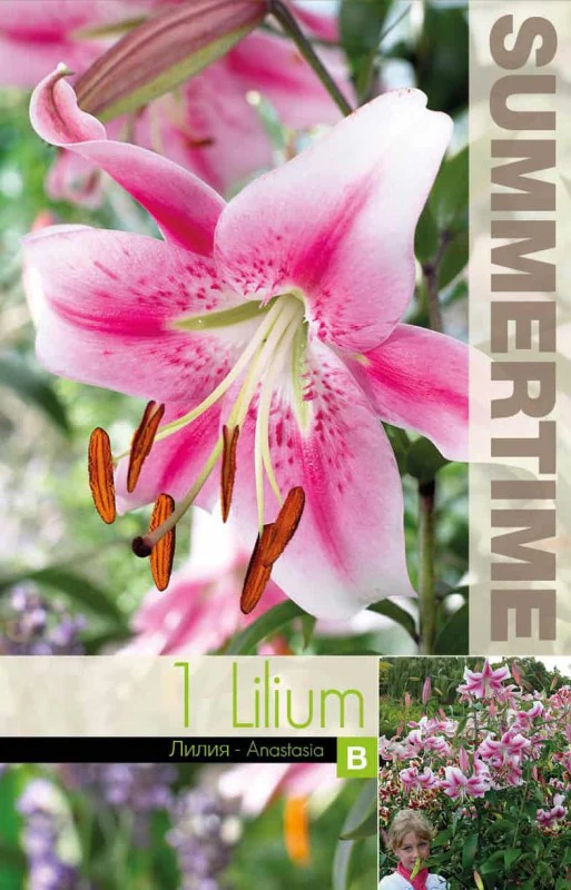 Miniatyrbild 2