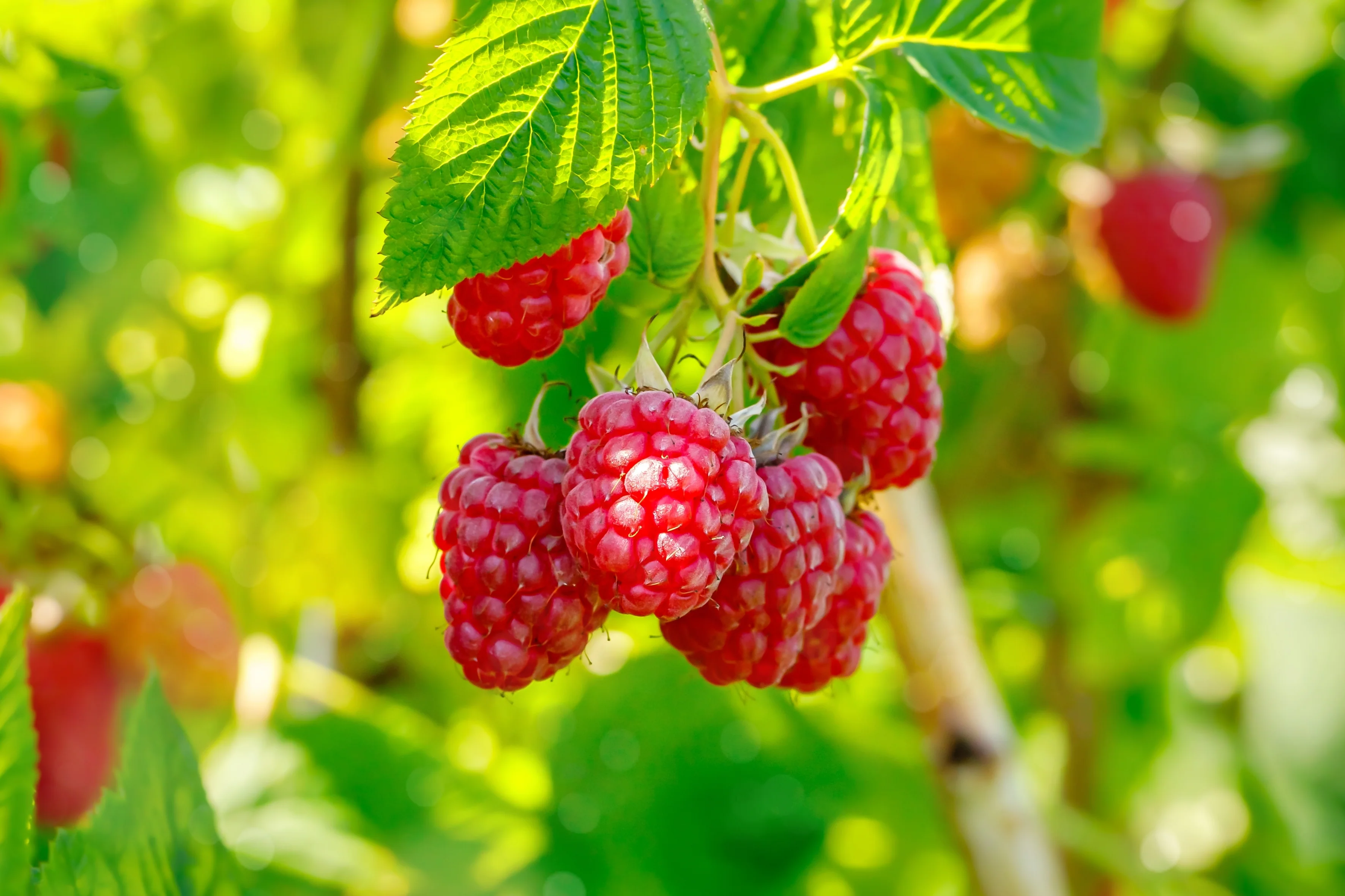 Produktbild 3