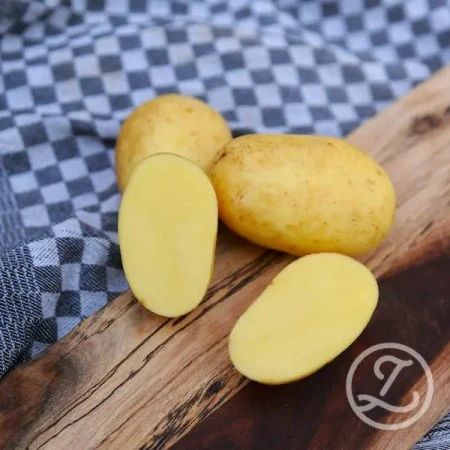 Produktbild 1
