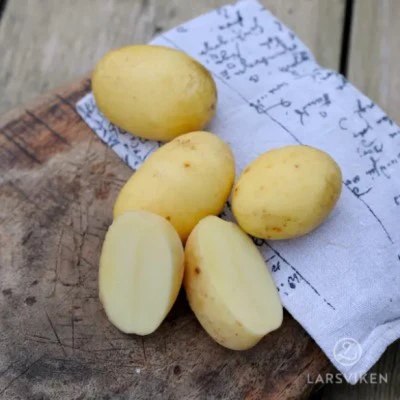 Produktbild 1