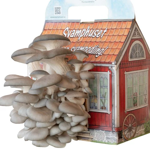 Miniatyrbild 1