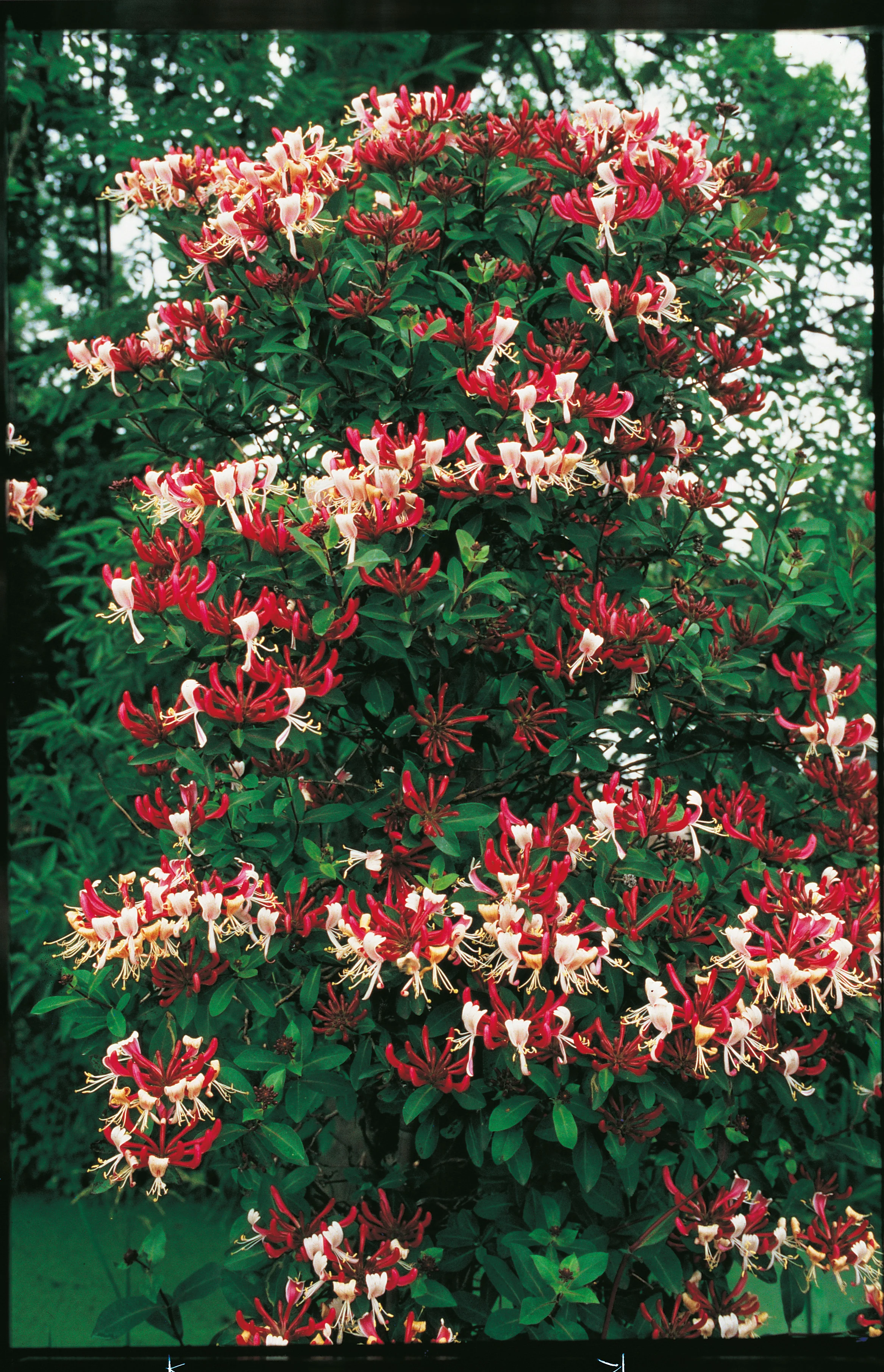 Produktbild 3